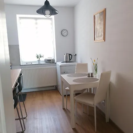 Moderne Mit Sonnigem Gartenblick,1 Stock Görlitz