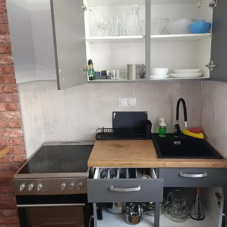 Moderne Mit Sonnigem Gartenblick,1 Stock Daire Görlitz