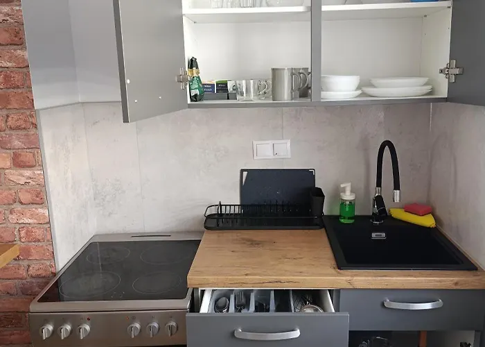 Moderne Mit Sonnigem Gartenblick,1 Stock アパート ゲルリッツ