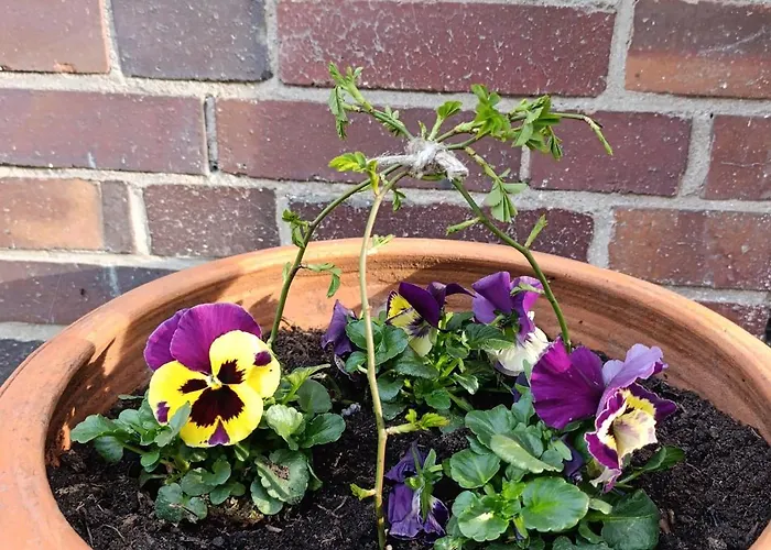 アパート Moderne Mit Sonnigem Gartenblick,1 Stock